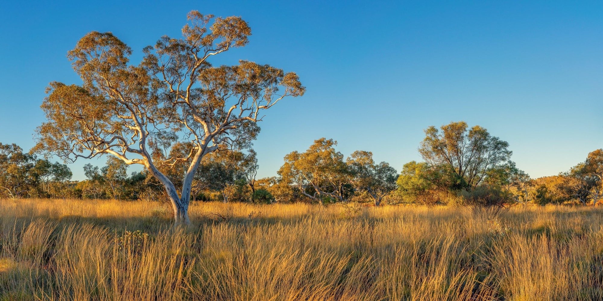 Miles - Karijini Wall Art - Digital Download - Days Adrift