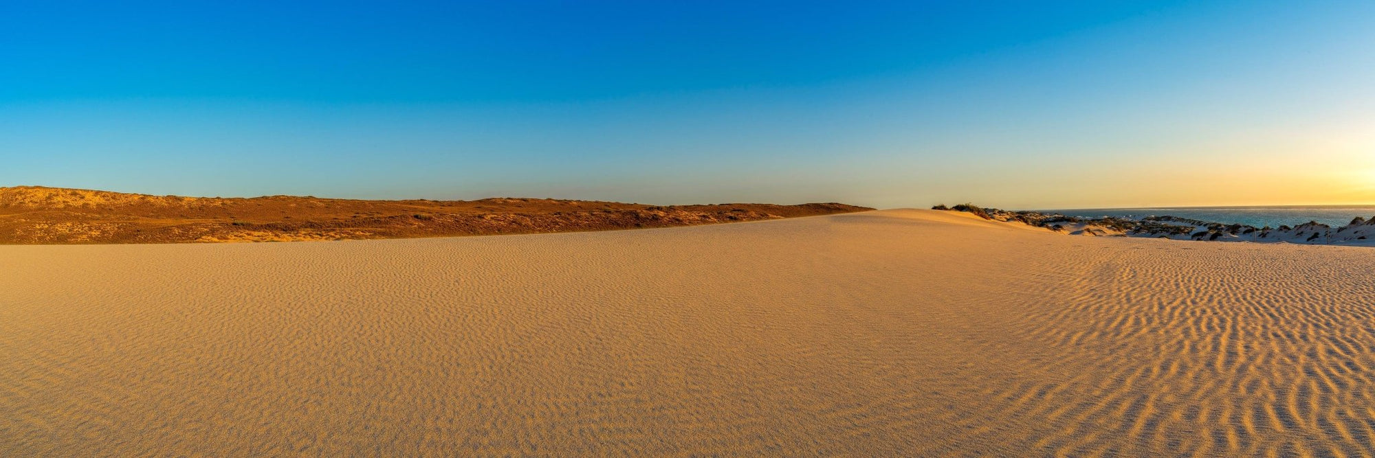 Nicholas - Coral Bay Wall Art - Digital Download - Days Adrift