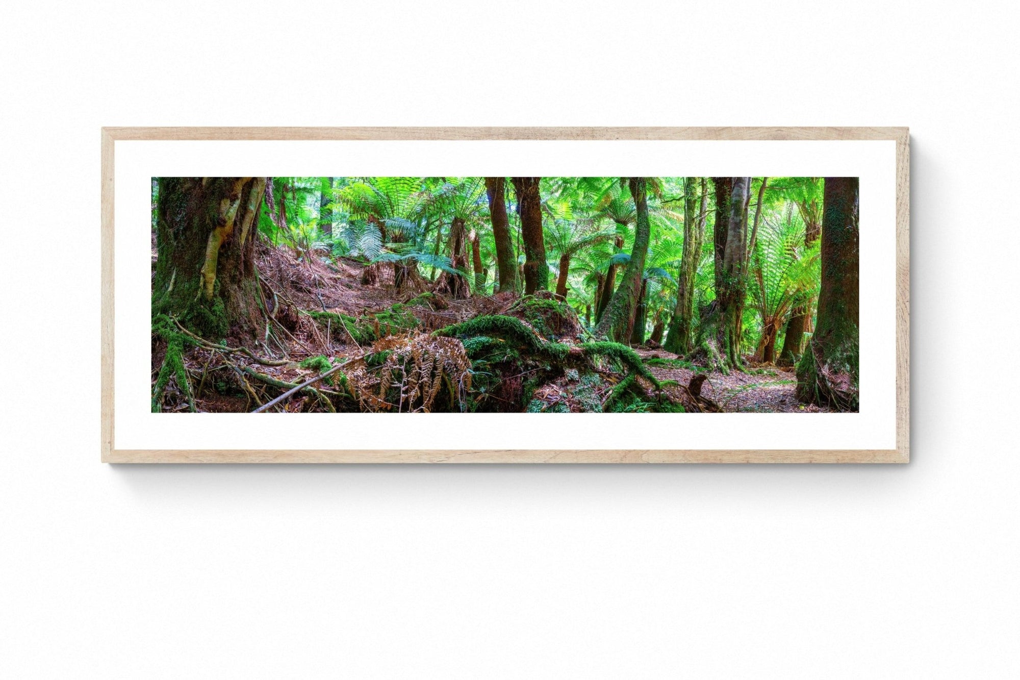 Noah - St Columba Falls Wall Art - Framed Print - Days Adrift