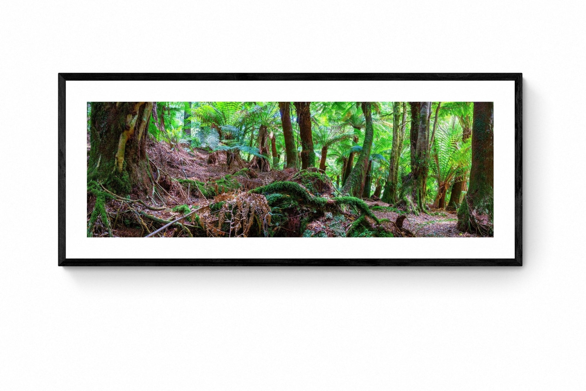 Noah - St Columba Falls Wall Art - Framed Print - Days Adrift