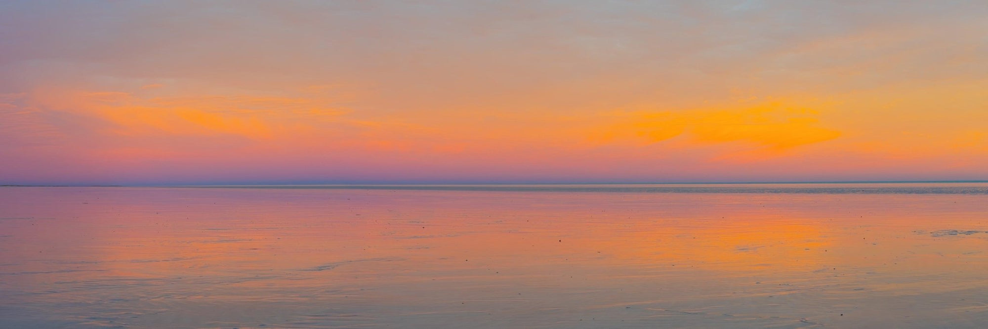 Octavia - Eighty Mile Beach Wall Art - Framed Print - Days Adrift