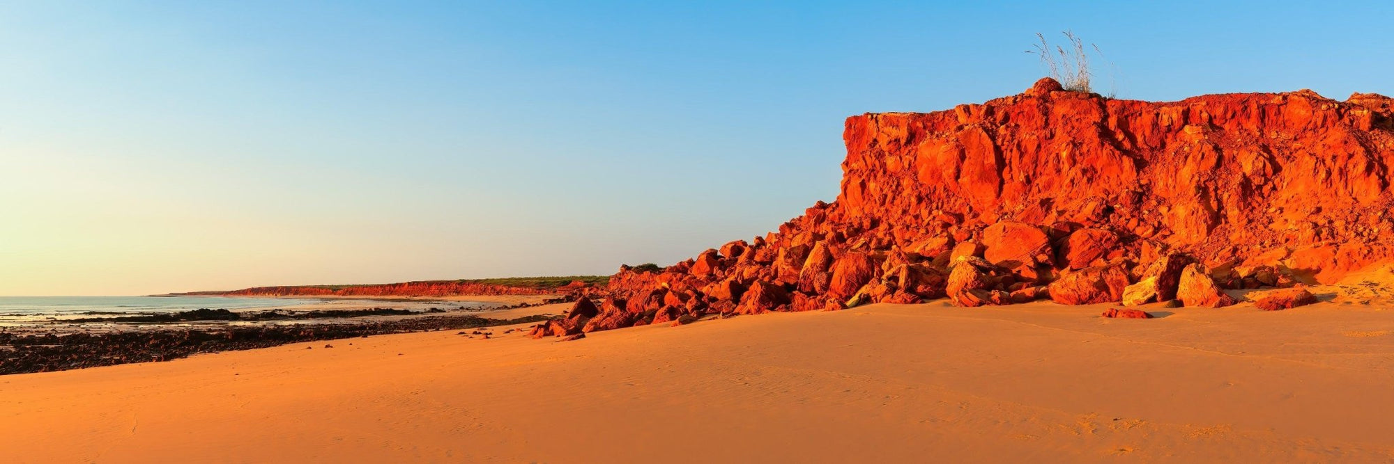 Quinn - James Price Point Wall Art - Framed Print - Days Adrift