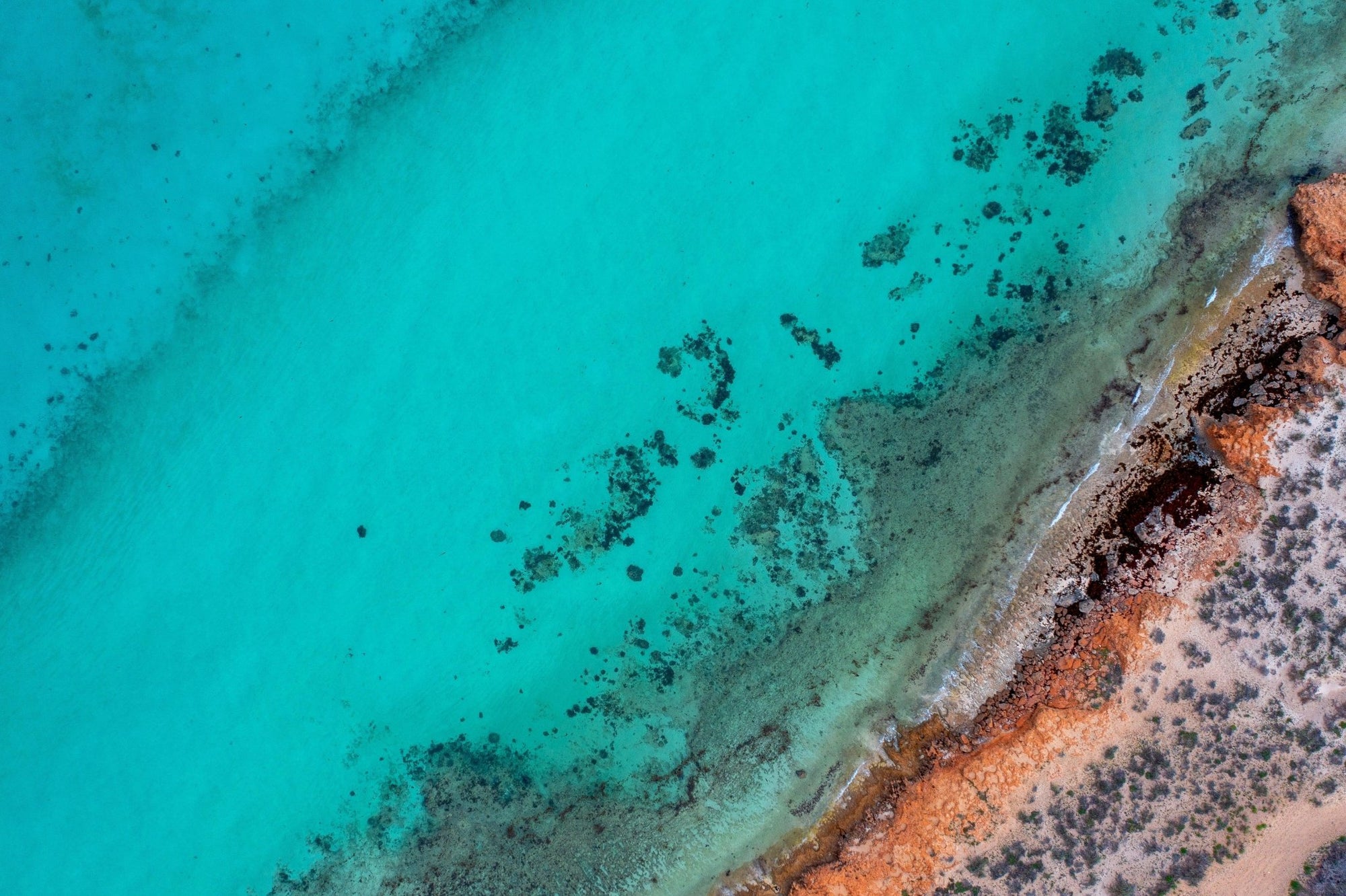 Rocky - Coral Bay Wall Art - Digital Download - Days Adrift