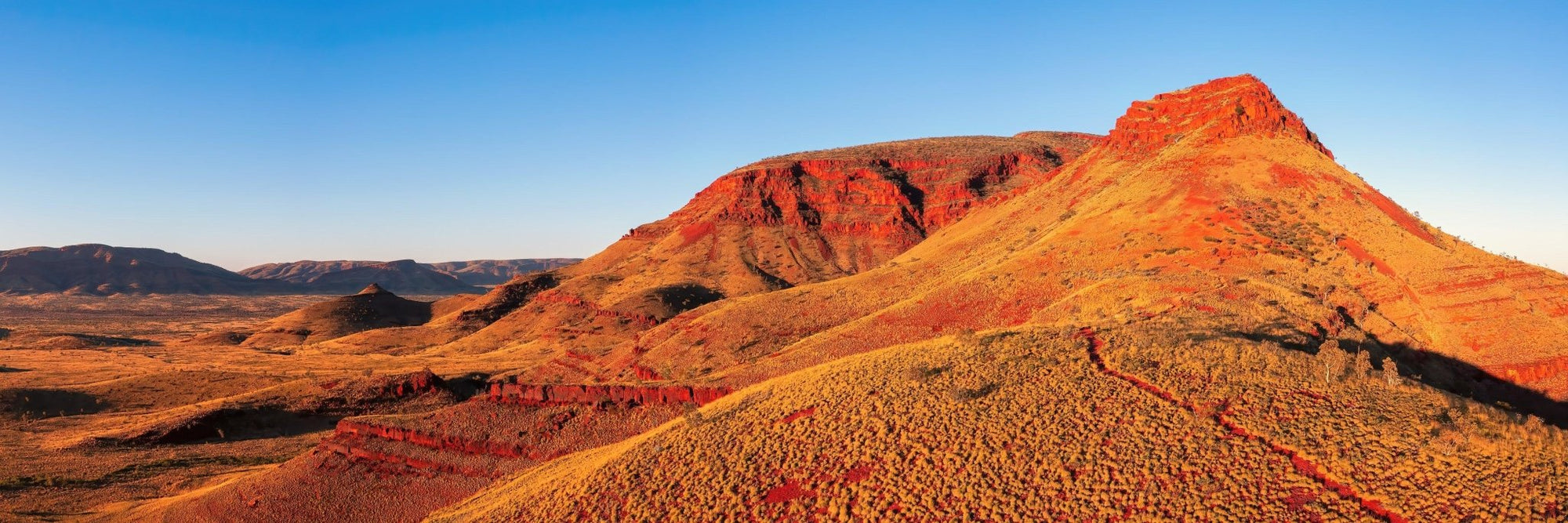 Sachin - Mt Bruce Wall Art - Framed Print - Days Adrift