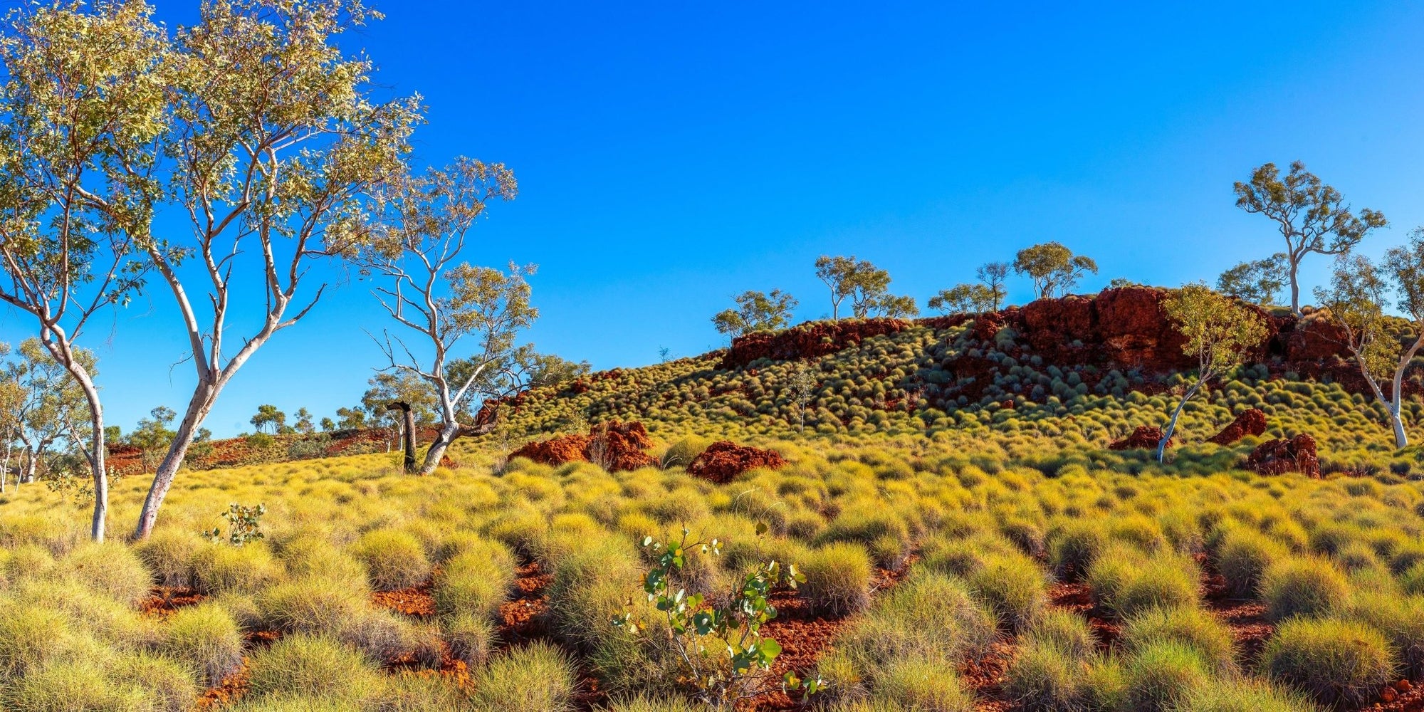 Sven - Karijini Wall Art - Digital Download - Days Adrift
