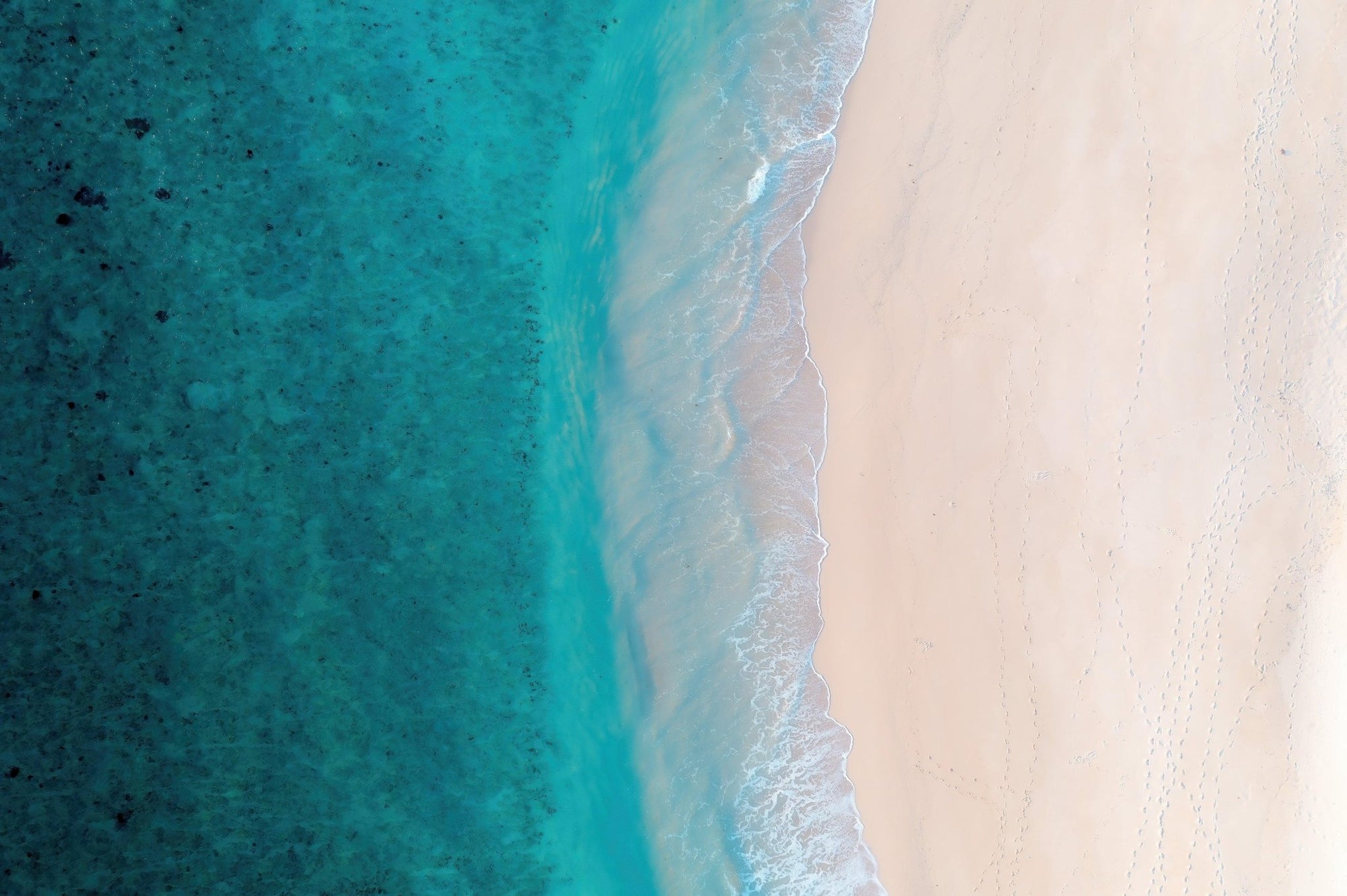 Syeda - Exmouth Wall Art - Framed Print - Days Adrift