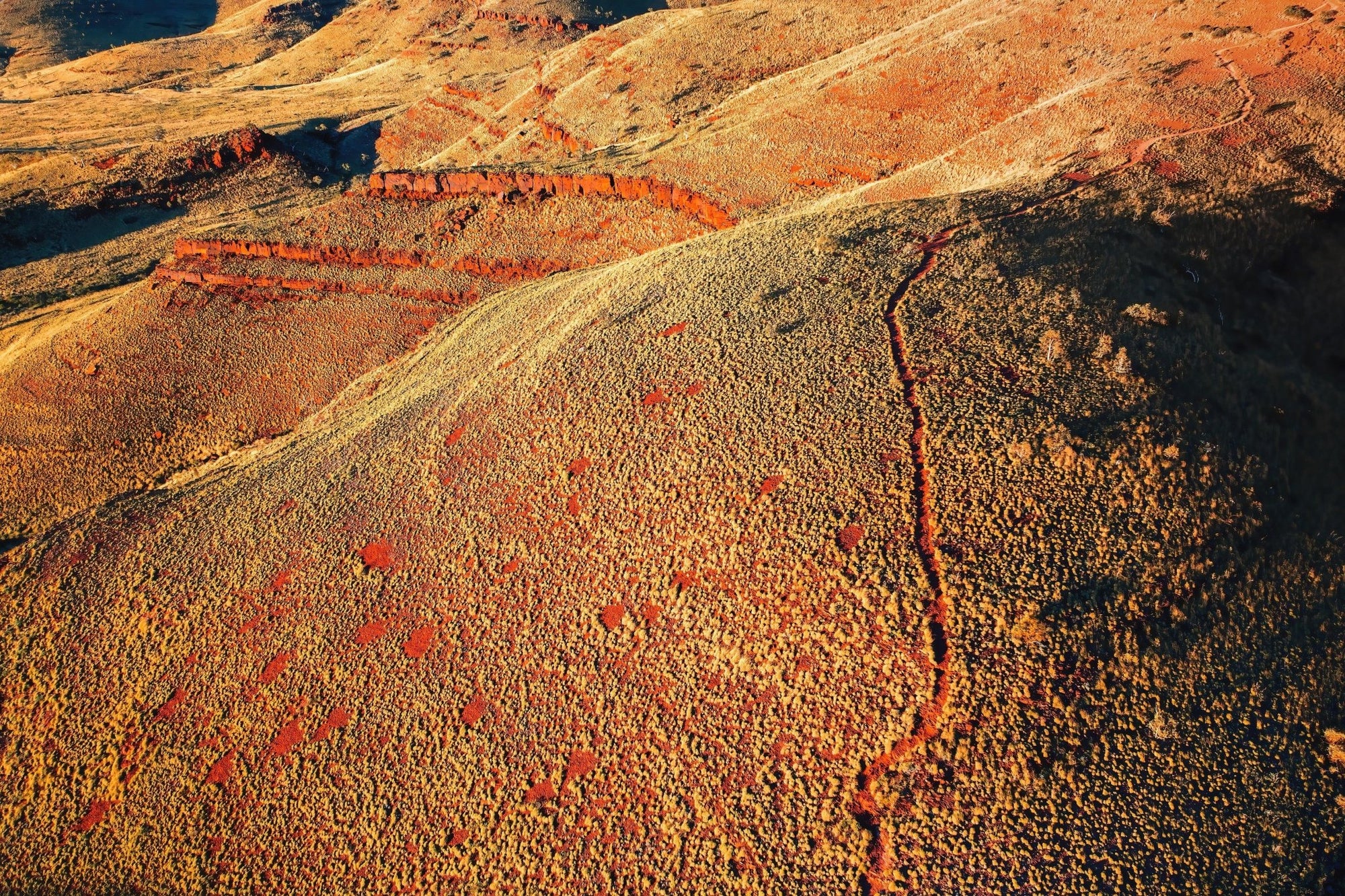 Taha - Mt Bruce Wall Art - Digital Download - Days Adrift