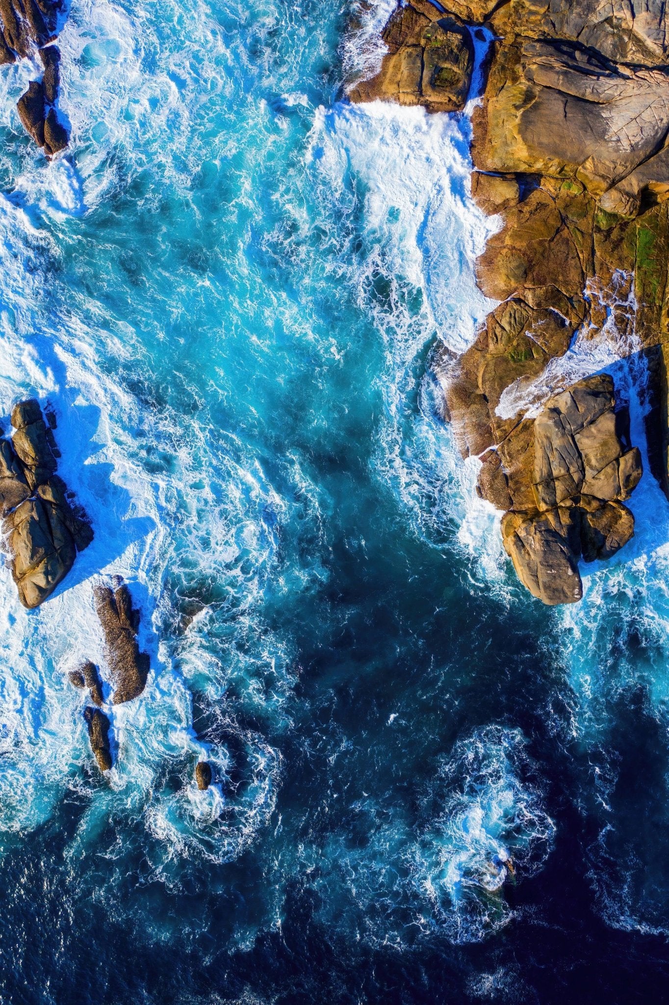 Tahira - Albany Wall Art - Framed Print - Days Adrift