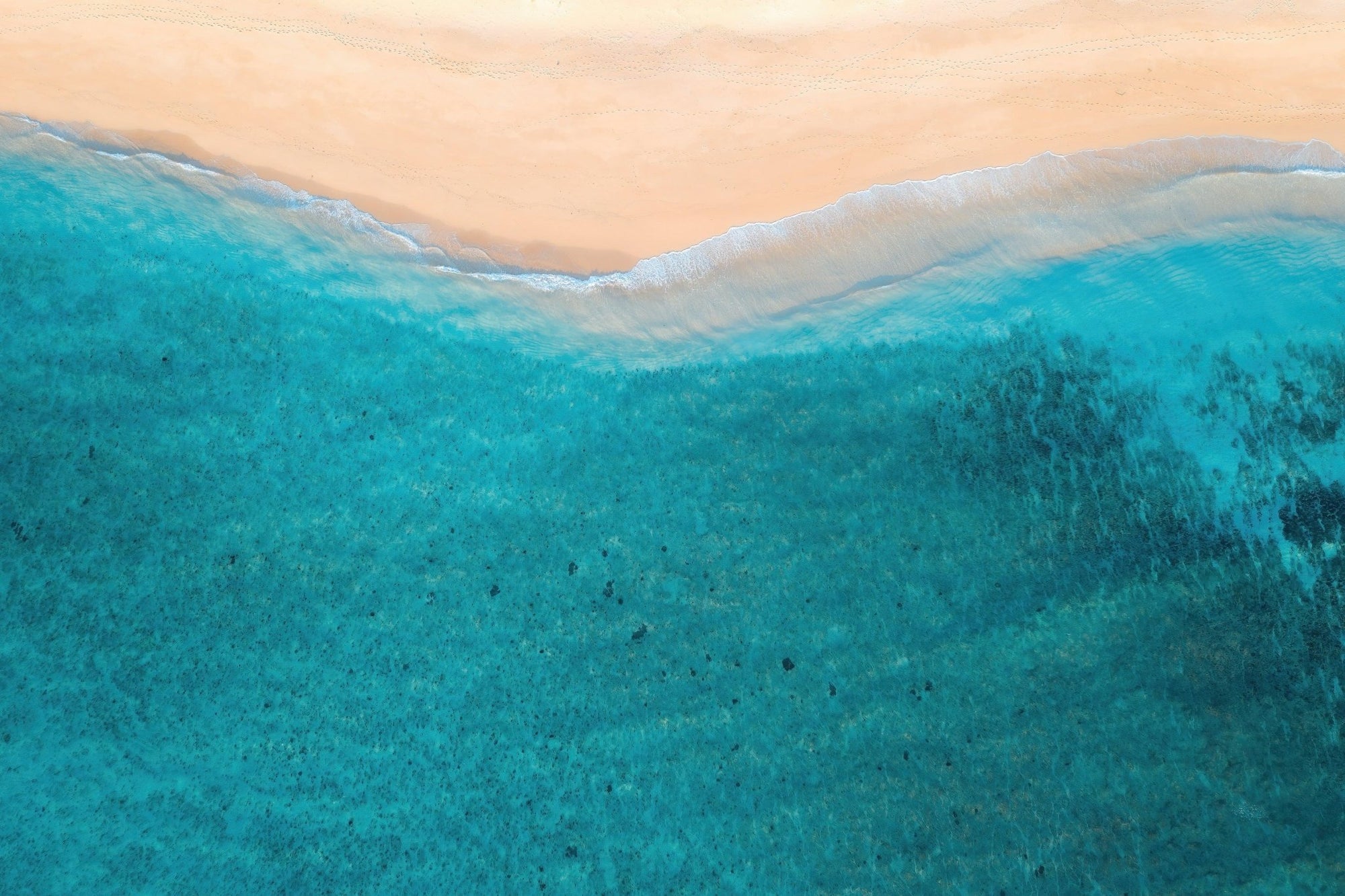 Tyra - Exmouth Wall Art - Digital Download - Days Adrift