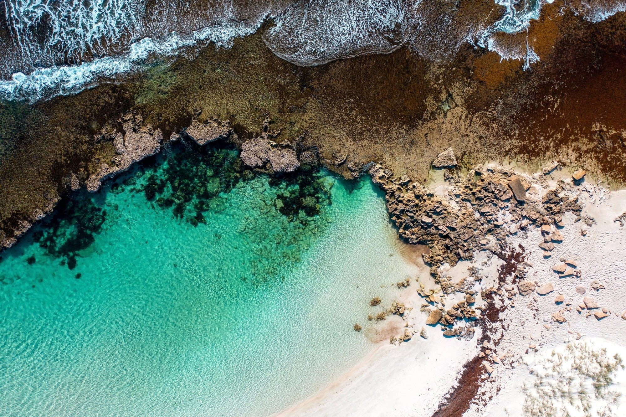 Tyrell - Coral Bay Wall Art - Digital Download - Days Adrift