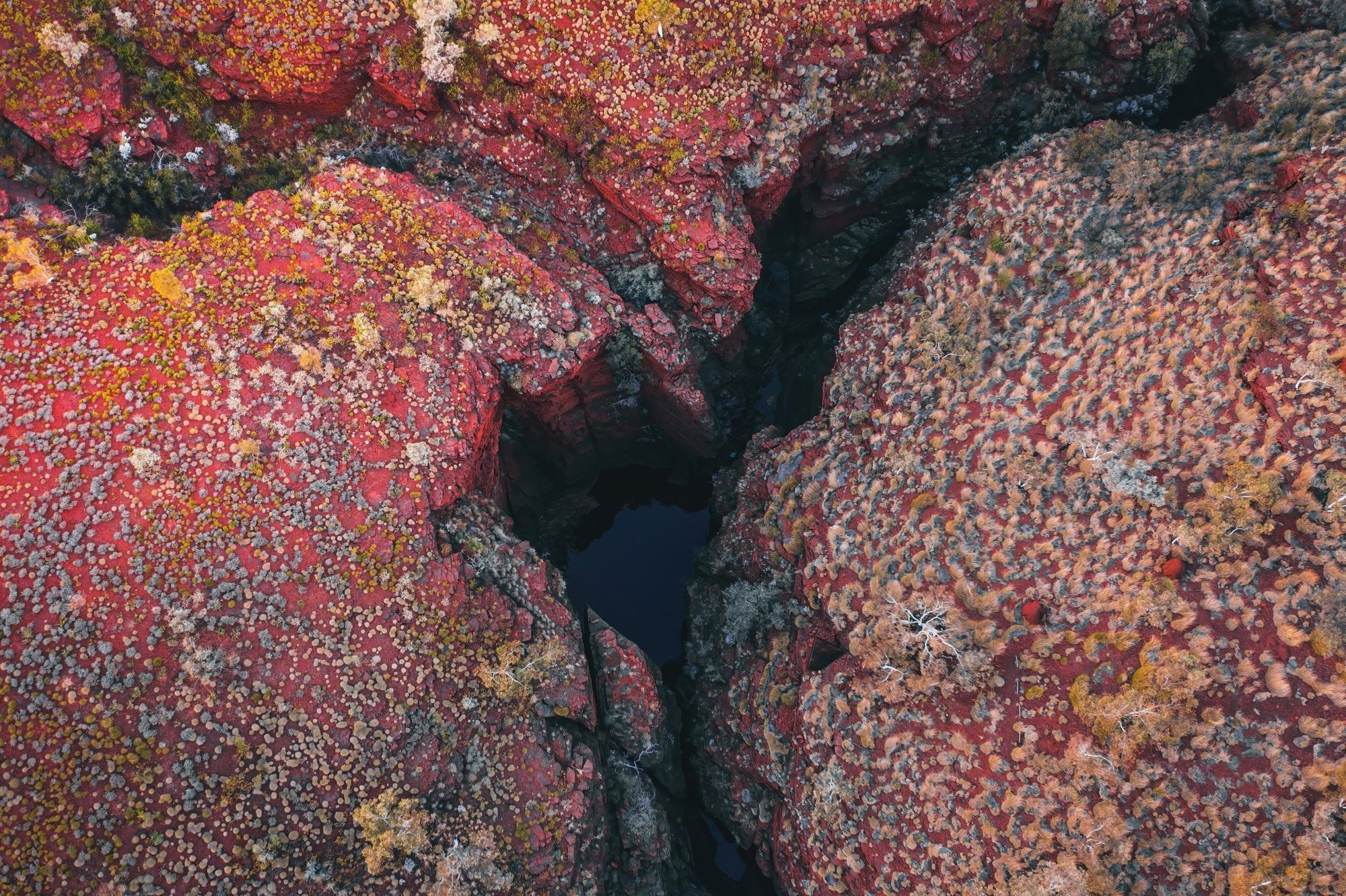 Zachary - Karijini Wall Art - Framed Print - Days Adrift