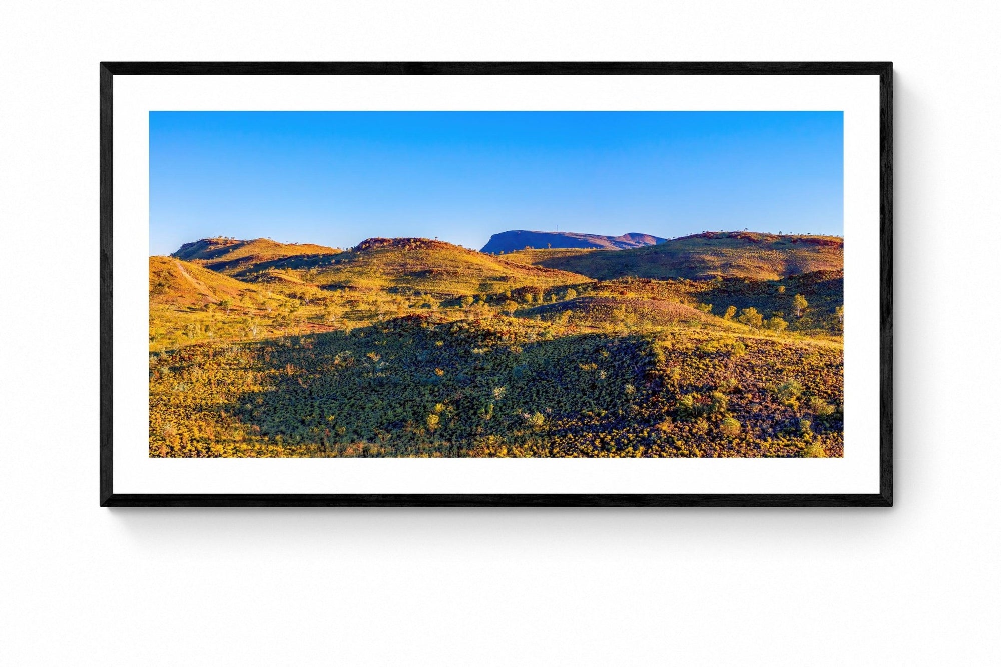 Zak - Tom Price Wall Art - Framed Print - Days Adrift