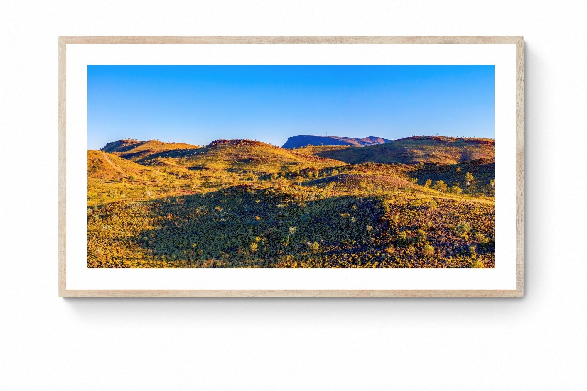 Zak - Tom Price Wall Art - Framed Print - Days Adrift