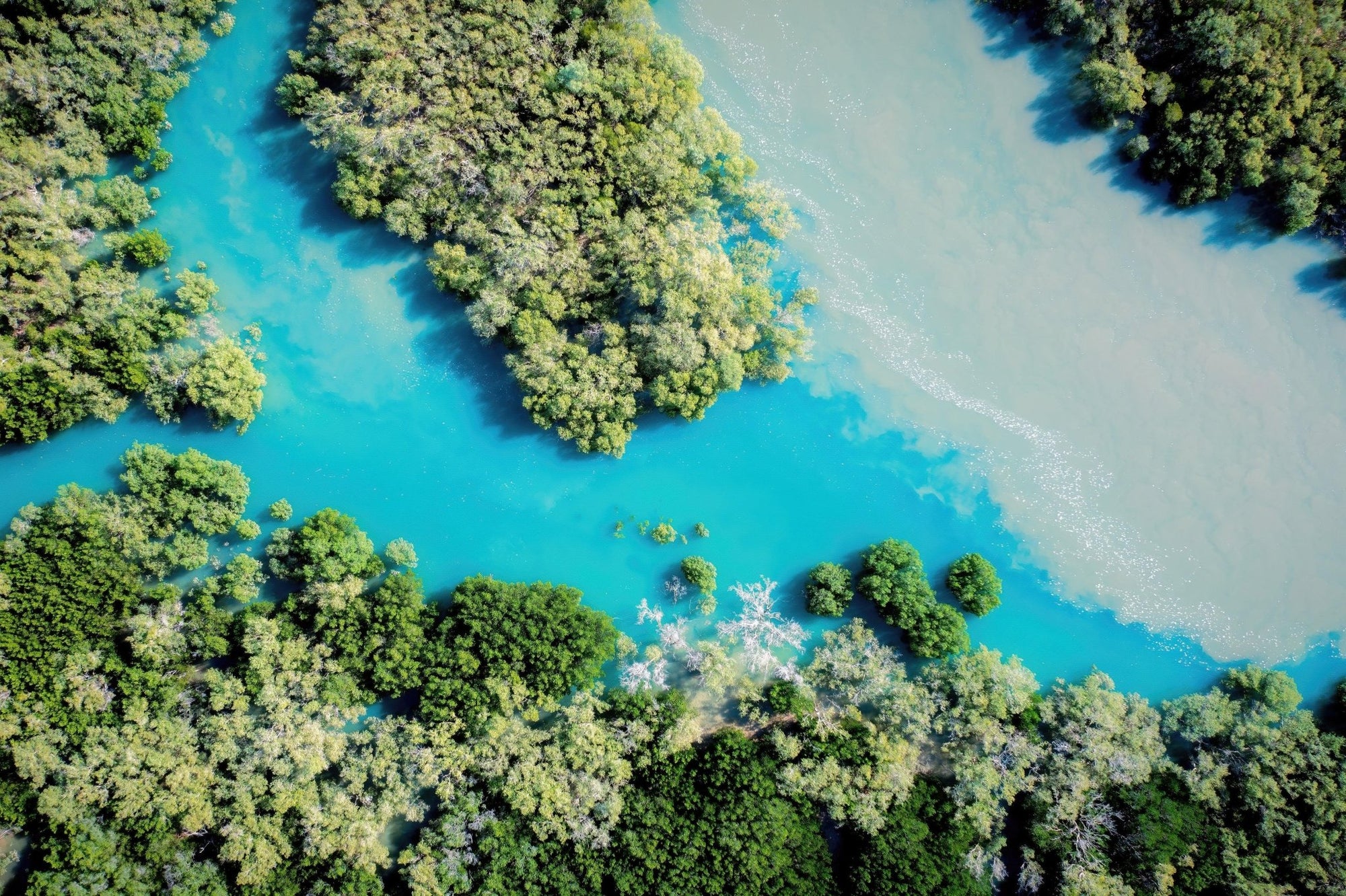 Zohra - Willie Creek Wall Art - Framed Print - Days Adrift